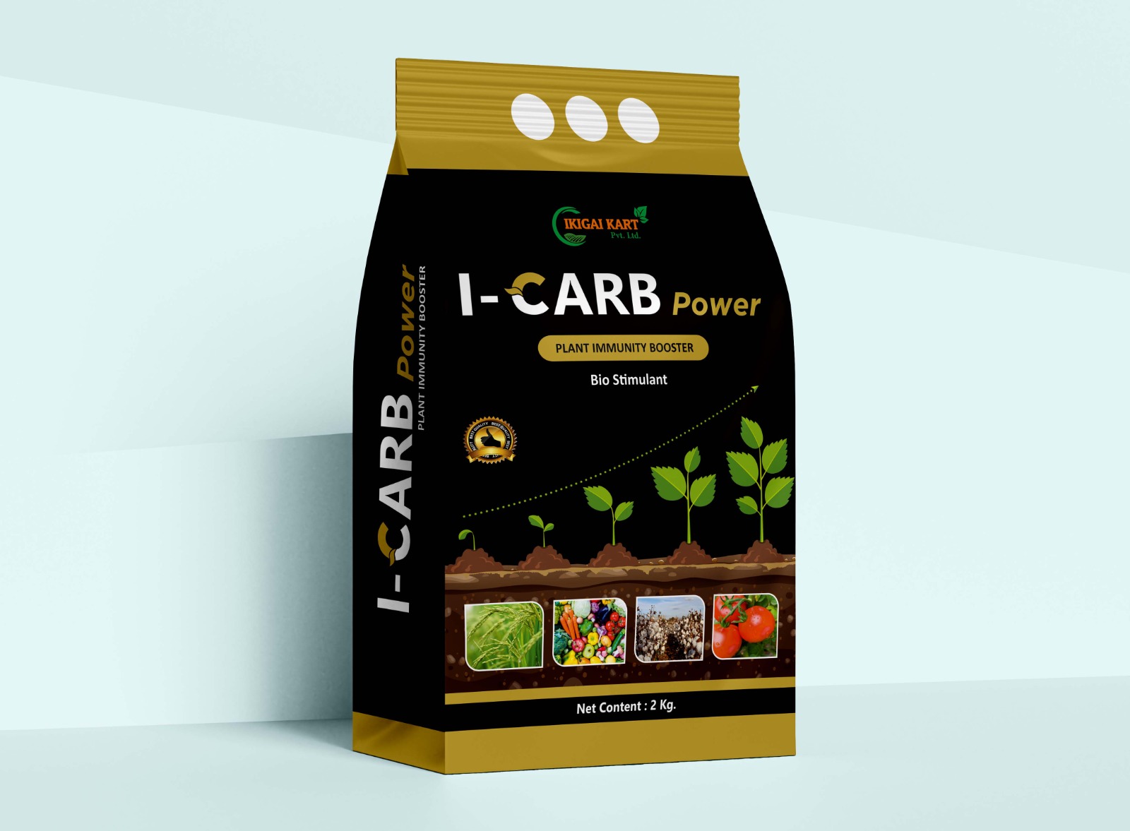 I-CARB - 2 KG PACK