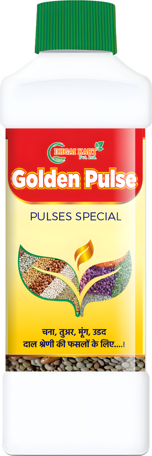 GOLDEN PULSE - 500 ML - PACK